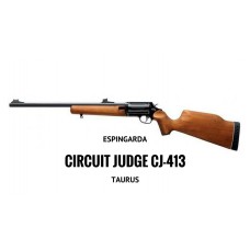 .36 CIRCUIT JUDGE 413